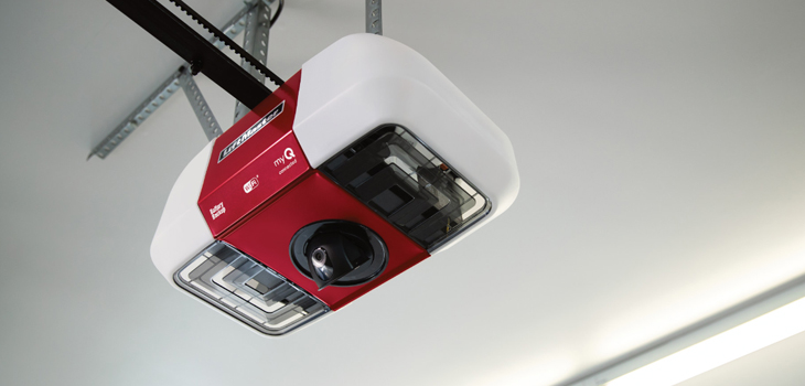 liftmaster garage door motor repair in Inglewood